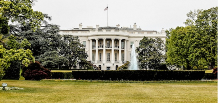 White House Lawn